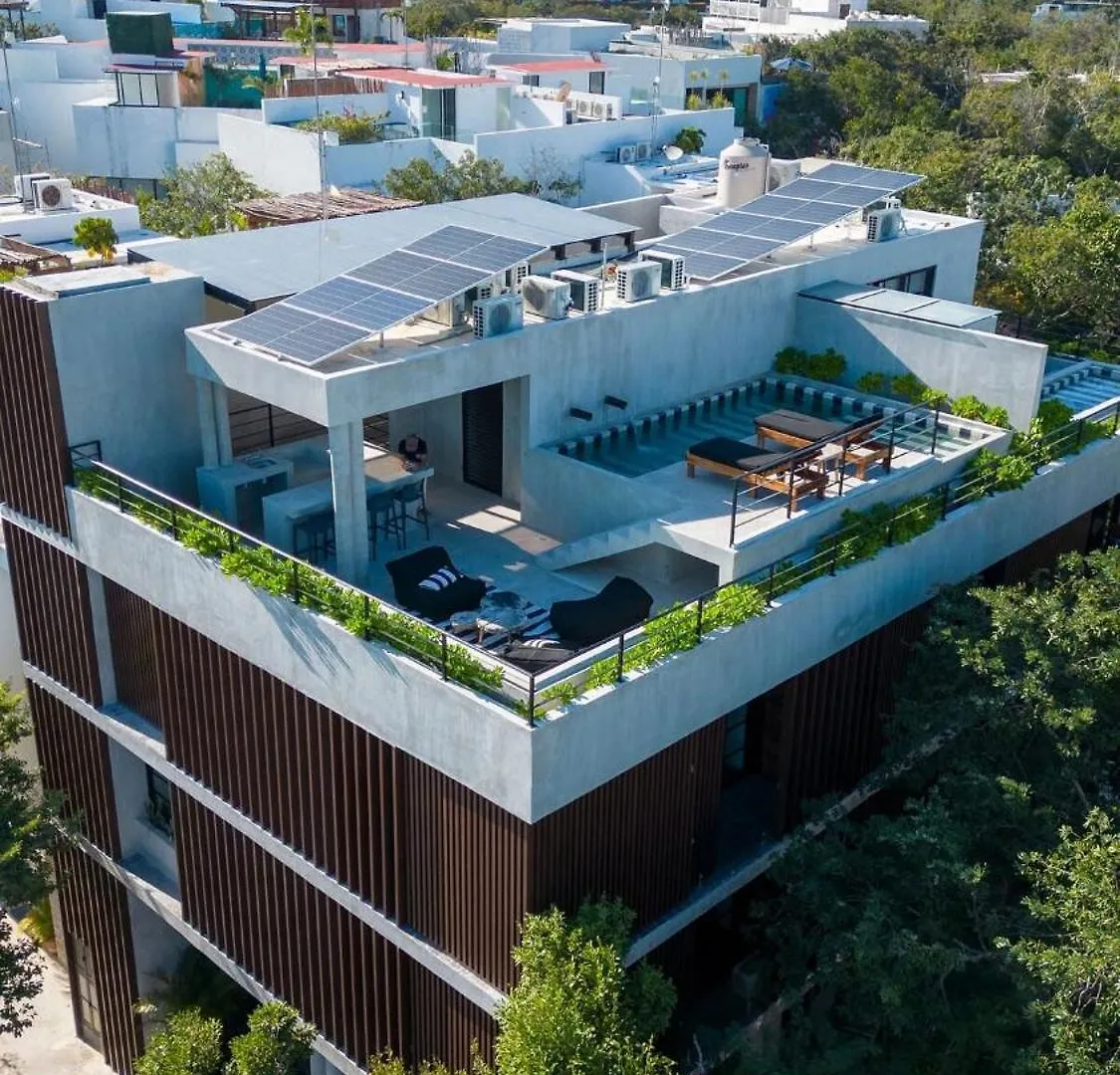 Luxury Loft In Aldea Zama With Rooftop Pool Tulum Apartment