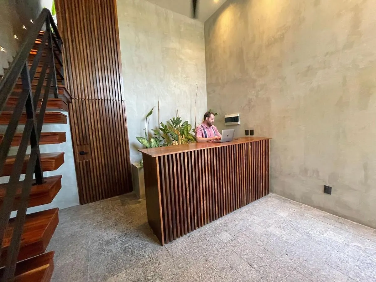 Luxury Loft In Aldea Zama With Rooftop Pool Tulum Apartment